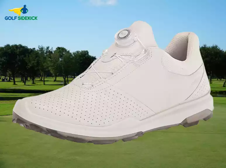 ecco biom 3 hydromax boa golf shoes